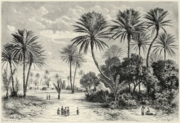 Gafsas oas: Tunis